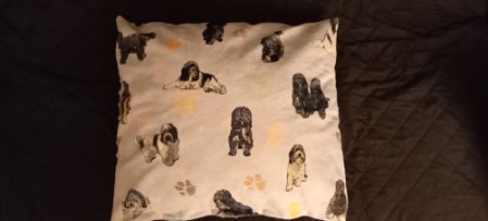 Kissen mit PON-Bildern